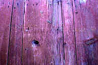 Original Red Painted Pine Barn Siding